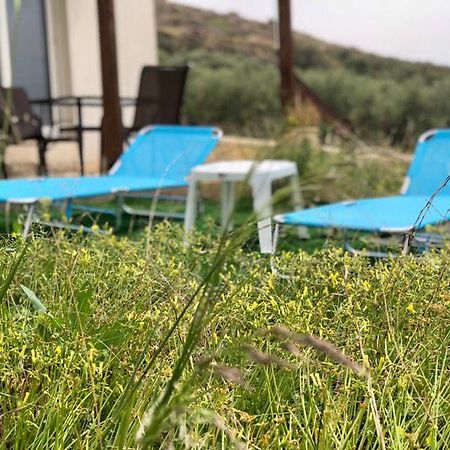 Villa Oniro Kreta Kalamaki  Esterno foto