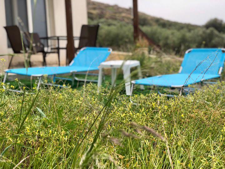 Villa Oniro Kreta Kalamaki  Esterno foto